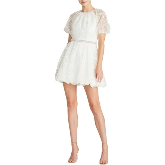 NWT  ML MONIQUE LHUILLIER Fit & Flare Lace Minidress - Picture 1 of 10